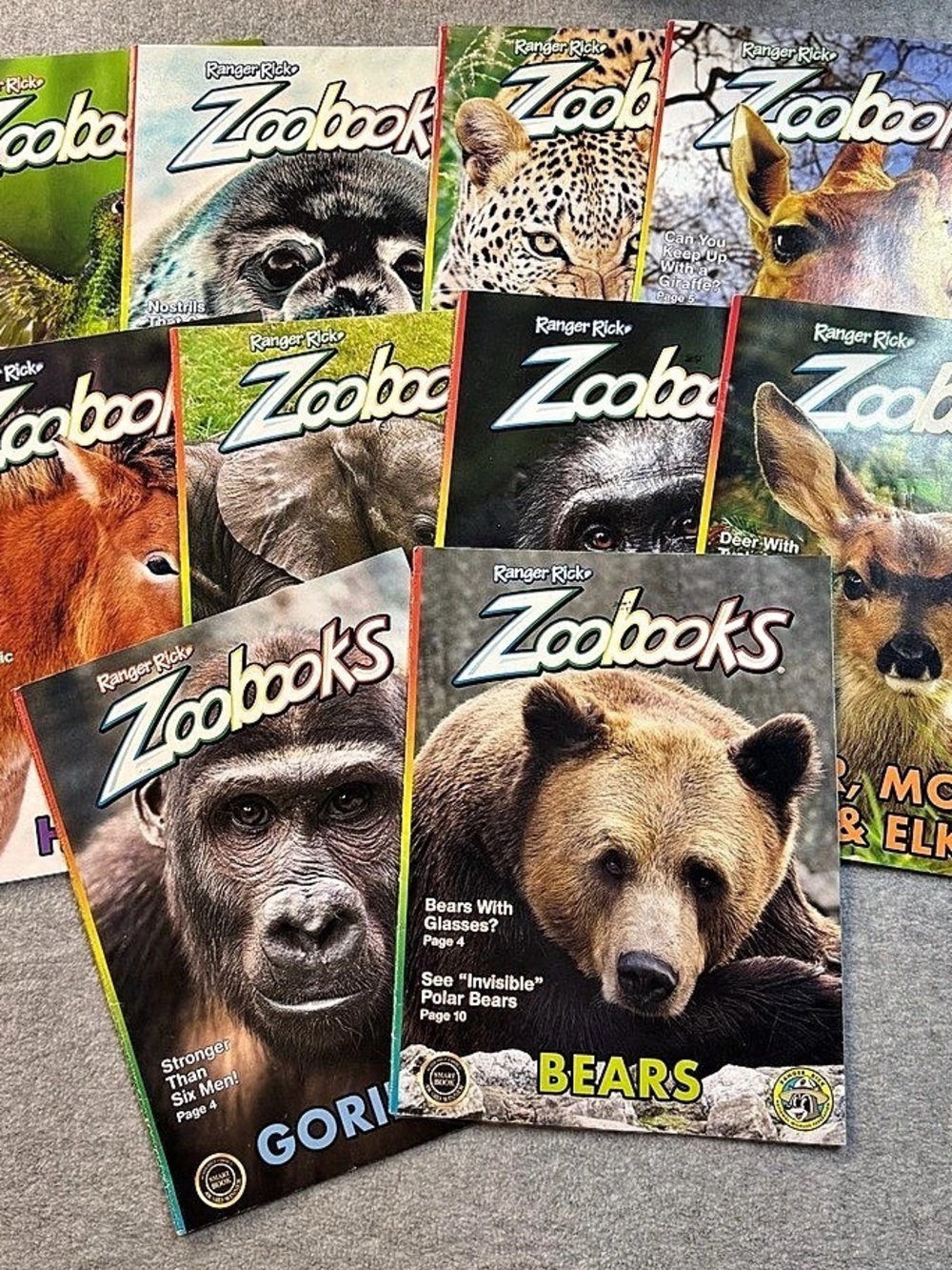 10 Ranger Rick Zoobooks Animal Educational Magazine Lot